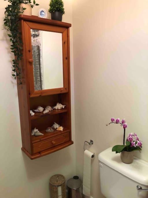 Apartment Luxury Ground Floor Flat Close To
