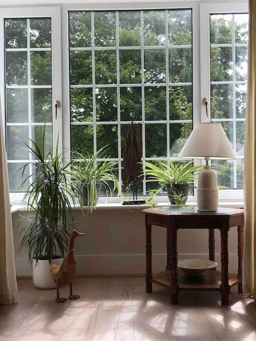 Apartment Luxury Ground Floor Flat Close To