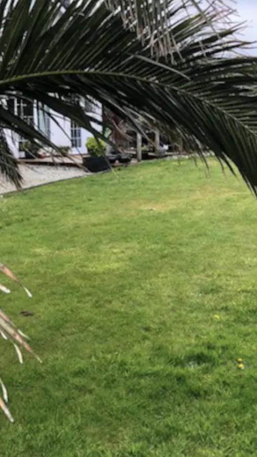 Appartement Luxury Ground Floor Flat Close To Carbis Bay